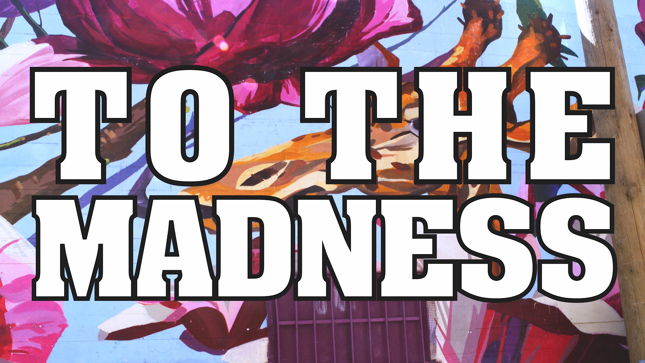 To the Madness (TV Pilot)